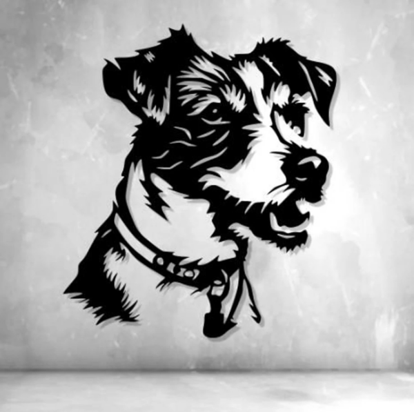 Jack Russel - Afbeelding 3