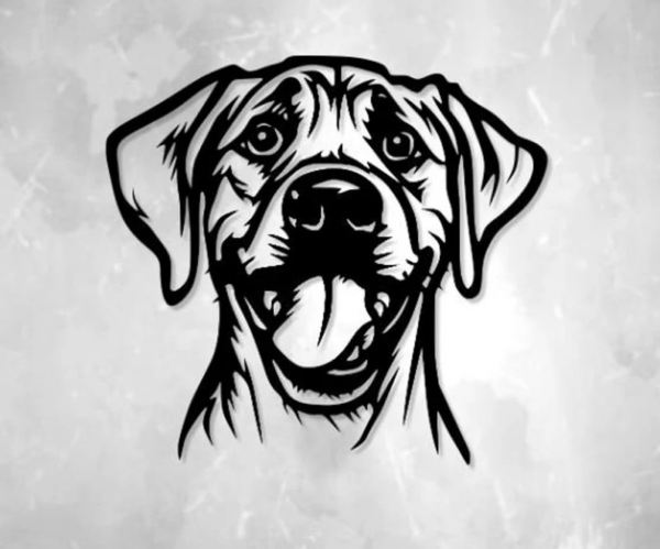 Labrador - Afbeelding 3